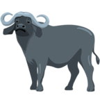 🐃 Facebook / Messenger «Water Buffalo» Emoji - Messenger Application version