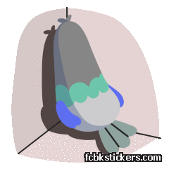 Stickers Bird Brained