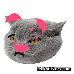 Catster sticker #7