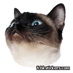 Catster sticker #11