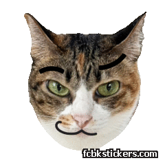 Catster sticker #12