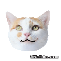 Catster sticker #13
