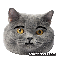 Catster sticker #15