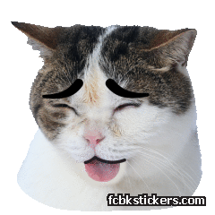 Catster sticker #17