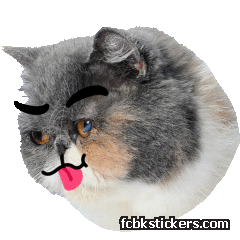 Catster sticker #18