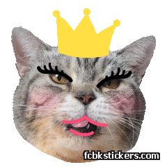 Catster sticker #19