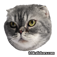 Catster sticker #21