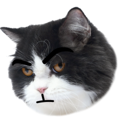 Catster sticker #10