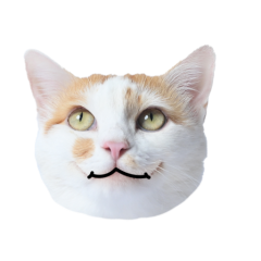 Catster sticker #13