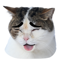 Catster sticker #17