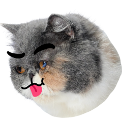 Catster sticker #18