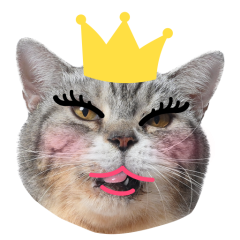 Catster sticker #19
