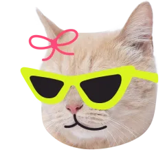 Catster sticker nº4 - descargue como WEBP.
