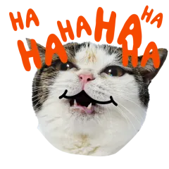 Catster sticker nº6 - descargue como WEBP.