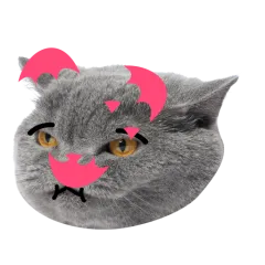 Catster sticker nº7 - descargue como WEBP.