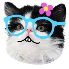 Catster sticker nº8 - descargue como WEBP.