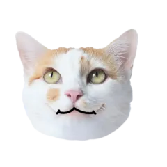 Catster sticker nº13 - descargue como WEBP.