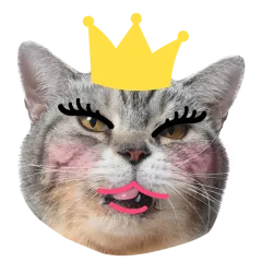 Catster sticker nº19 - descargue como WEBP.