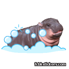 Moo Deng stickers