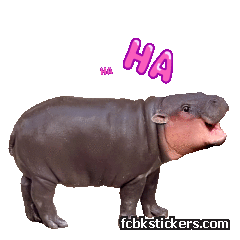 Moo Deng sticker #4