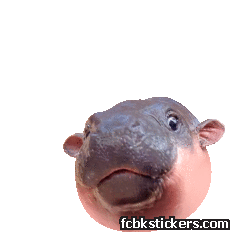 Moo Deng sticker #5