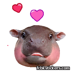Moo Deng sticker #6