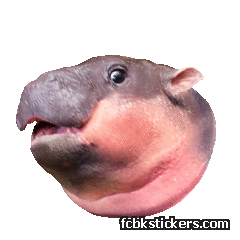 Moo Deng sticker #7