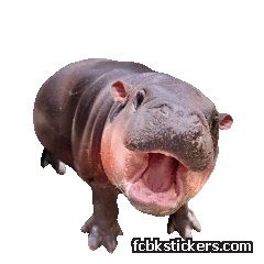 Moo Deng sticker #10