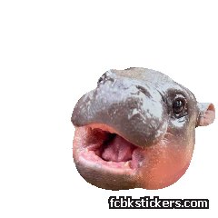 Moo Deng sticker #13