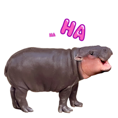 Moo Deng sticker #04