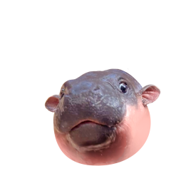 Moo Deng sticker #05