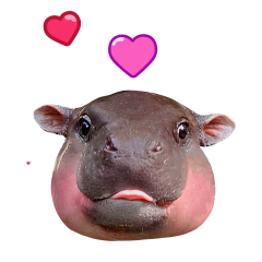 Moo Deng sticker #06