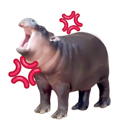 Moo Deng sticker #08