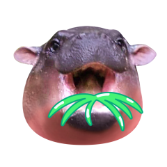 Moo Deng sticker #17