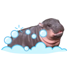 Moo Deng sticker #1 - download as WEBP.