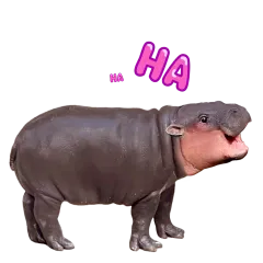 Moo Deng sticker #4 - download as WEBP.