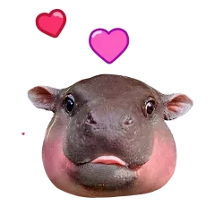 Moo Deng sticker #6 - download as WEBP.