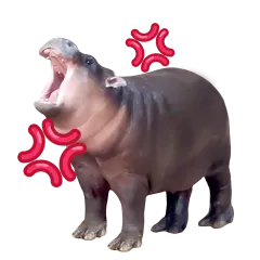 Moo Deng sticker #8 - download as WEBP.