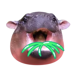 Moo Deng sticker #17 - download as WEBP.