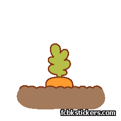 Pocket Peaches autocollant #13