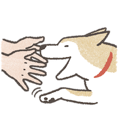 Shiba Inu sticker #13