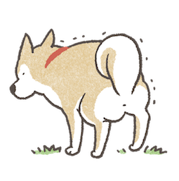 Shiba Inu sticker #14