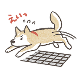 Shiba Inu sticker #16