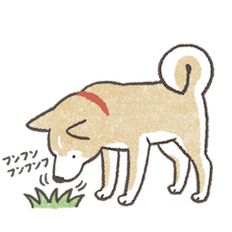 Shiba Inu sticker #21