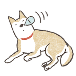 Shiba Inu sticker #23