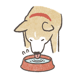 Shiba Inu sticker #24