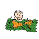 Snoopy's Harvest sticker #04