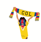 Soccer Scarves (A-F) sticker #20