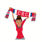 Soccer Scarves (A-F) sticker #21